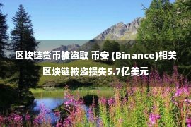 区块链货币被盗取 币安 (Binance)相关区块链被盗损失5.7亿美元