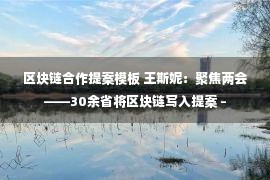 区块链合作提案模板 王斯妮：聚焦两会——30余省将区块链写入提案 –