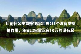 目前什么生意赚钱稳定 瓜分3个没有受疫情作用，年支出牢靠正在10万的没有起眼的赢利买卖！