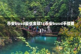 币安busd最低金额1(币安busd手续费)