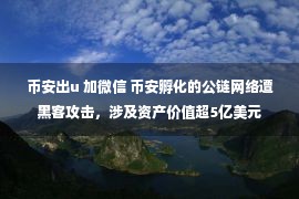 币安出u 加微信 币安孵化的公链网络遭黑客攻击，涉及资产价值超5亿美元