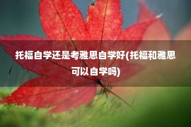 托福自学还是考雅思自学好(托福和雅思可以自学吗)