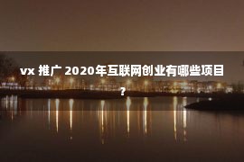 vx 推广 2020年互联网创业有哪些项目？