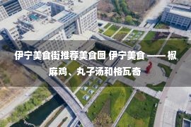 伊宁美食街推荐美食图 伊宁美食 —— 椒麻鸡、丸子汤和格瓦奇