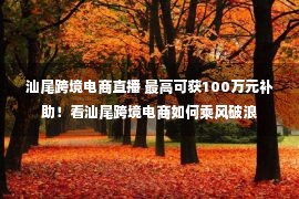 汕尾跨境电商直播 最高可获100万元补助！看汕尾跨境电商如何乘风破浪