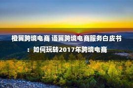 橙翼跨境电商 语翼跨境电商服务白皮书：如何玩转2017年跨境电商