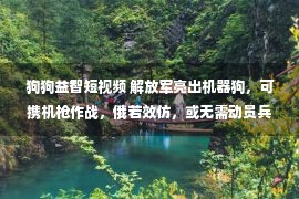 狗狗益智短视频 解放军亮出机器狗，可携机枪作战，俄若效仿，或无需动员兵