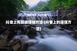 抖音上有那些赚钱方法 (抖音上的赚钱方法)