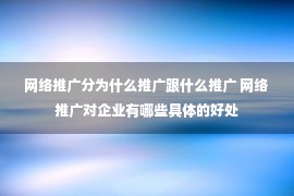 网络推广分为什么推广跟什么推广 网络推广对企业有哪些具体的好处