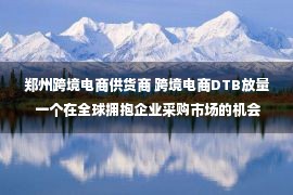 郑州跨境电商供货商 跨境电商DTB放量 一个在全球拥抱企业采购市场的机会