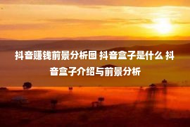 抖音赚钱前景分析图 抖音盒子是什么 抖音盒子介绍与前景分析