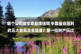 哪个公司做生意最赚钱呢 中国最会赢利的五大食品企业是谁？第一位财产压过一众互联网权威