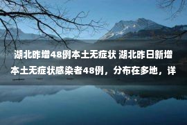 湖北昨增48例本土无症状 湖北昨日新增本土无症状感染者48例，分布在多地，详情公布