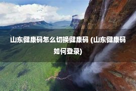 山东健康码怎么切换健康码 (山东健康码如何登录)