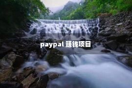 paypal 赚钱项目 