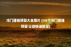 冷门赚钱项目大全图片 (50个冷门赚钱项目 让你快速致富)