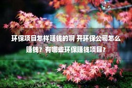 环保项目怎样赚钱的啊 开环保公司怎么赚钱？有哪些环保赚钱项目？