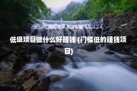 低级项目做什么好赚钱 (门槛低的赚钱项目)