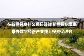 在新疆开发什么项目赚钱 新疆霍尔果斯举办数字经济产业线上投资促进会