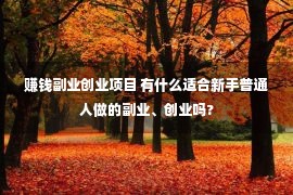 赚钱副业创业项目 有什么适合新手普通人做的副业、创业吗?