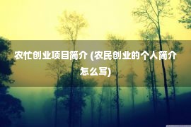 农忙创业项目简介 (农民创业的个人简介怎么写)