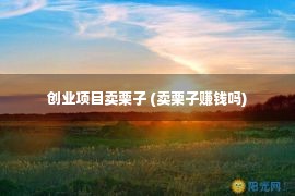 创业项目卖栗子 (卖栗子赚钱吗)