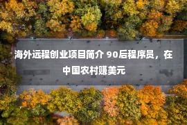 海外远程创业项目简介 90后程序员，在中国农村赚美元