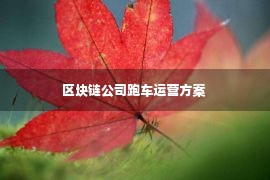 区块链公司跑车运营方案 