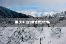 区块链假药整治案例分析 