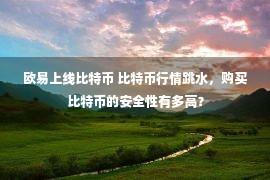 欧易上线比特币 比特币行情跳水，购买比特币的安全性有多高？