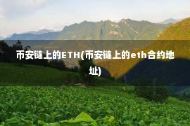 币安链上的ETH(币安链上的eth合约地址)