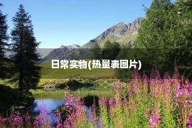 日常实物(热量表图片)