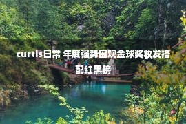 curtis日常 年度强势围观金球奖妆发搭配红黑榜