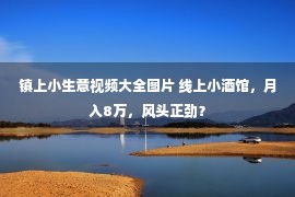 镇上小生意视频大全图片 线上小酒馆，月入8万，风头正劲？