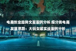 电商创业趋势文案案例分析 细分类电商发展思路：大码女装实战案例分析