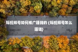 短视频号如何推广赚钱的 (短视频号怎么赚钱)