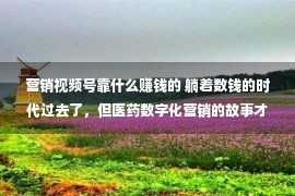 营销视频号靠什么赚钱的 躺着数钱的时代过去了，但医药数字化营销的故事才刚开始