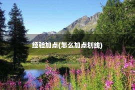 经验加点(怎么加点划线)