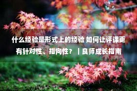 什么经验是形式上的经验 如何让评课更有针对性、指向性？｜良师成长指南