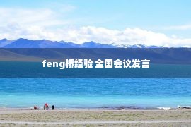 feng桥经验 全国会议发言