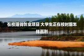 在校赚钱创业项目 大学生正在校时期怎样赢利