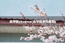 自学做shopee(自学做手办难吗)