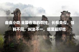 曲曲小吃 全国各地的馄饨，长相类似，馅料不同，叫法不一，哪里最好吃