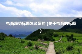 电商趋势标题怎么写的 (关于电商的标题)