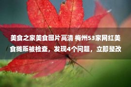 美食之家美食图片高清 梅州53家网红美食摊贩被检查，发现4个问题，立即整改！