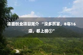 凉面创业项目简介 “没多厉害，8年16店，都上榜①”