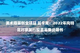 美术插画创业项目 曼卡龙：2022年向特定对象发行股票募集说明书