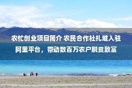 农忙创业项目简介 农民合作社扎堆入驻阿里平台，带动数百万农户脱贫致富