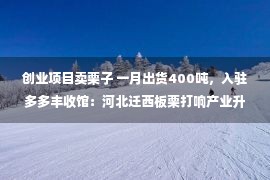 创业项目卖栗子 一月出货400吨，入驻多多丰收馆：河北迁西板栗打响产业升级战