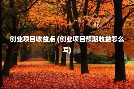 创业项目收益点 (创业项目预期收益怎么写)